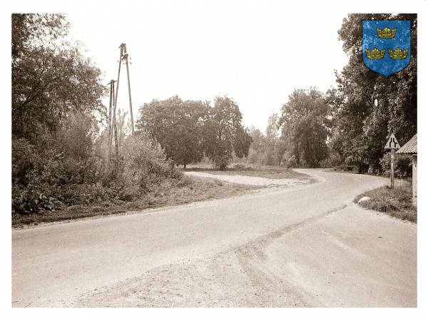 : Skrzyżowanie dróg na Chlinę i Porębę Dzierzną - dawny podjazd dworski. Widok od strony wschodniej.